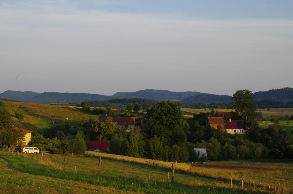 Zagroda Agroturystyczna Wiecha Mieroszow Экстерьер фото
